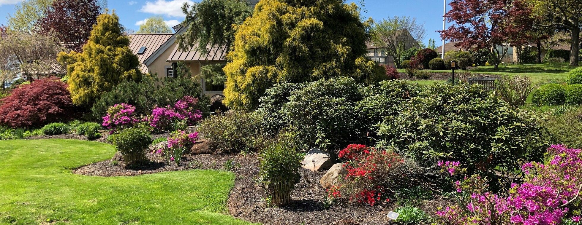 Caregiver's Support Group